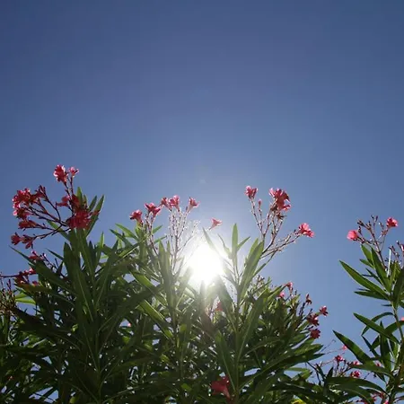 Et Chateau Du Haget 营地