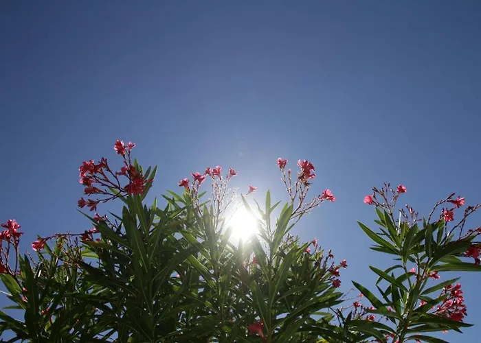 Et Chateau Du Haget 营地